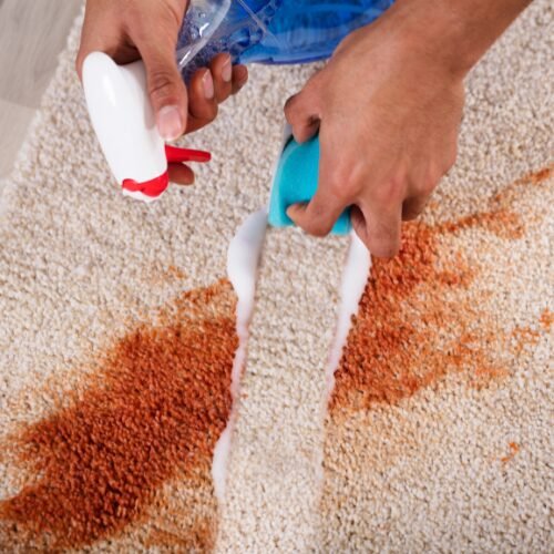 rug cleaning